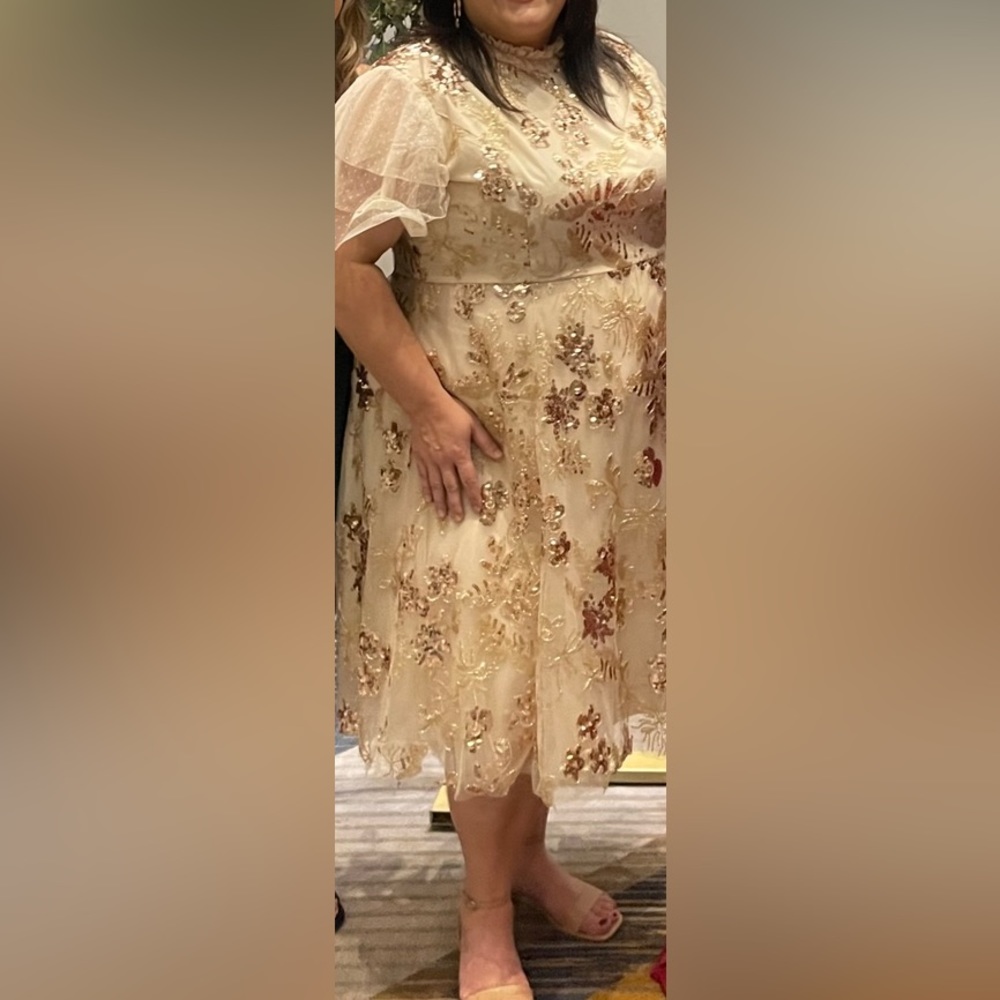 Jessakae Sequin Dress
